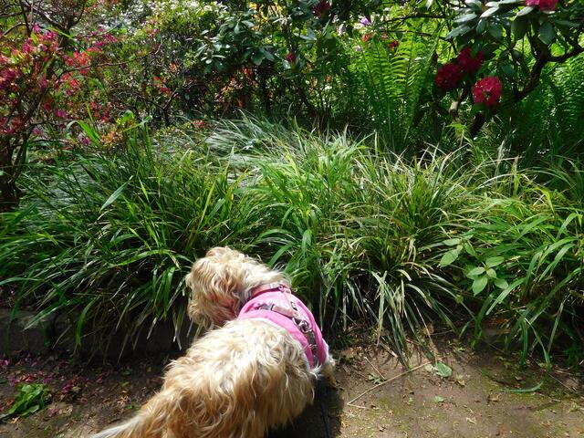 Hm, riecht das interessant!