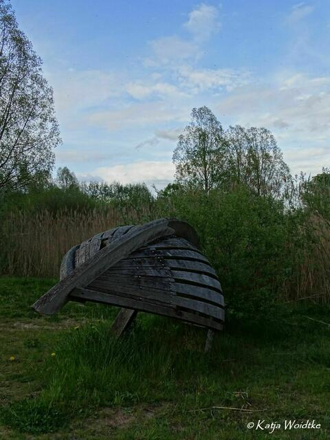 Wetterkapriolen - durch den Wietzepark im Mai (Foto: Katja Woidtke) | Foto: Katja Woidtke