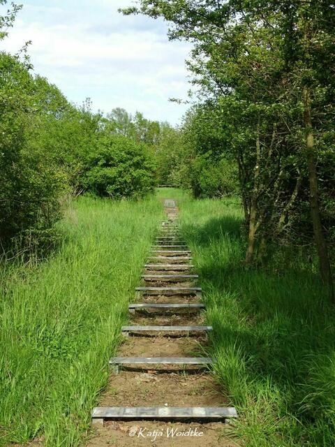 Wetterkapriolen - durch den Wietzepark im Mai: Die Unterkonstruktion wartet noch auf die Gitterroste (Foto: Katja Woidtke) | Foto: Katja Woidtke