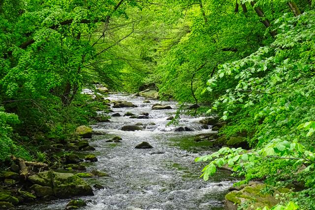 Bode am Goethefelsen