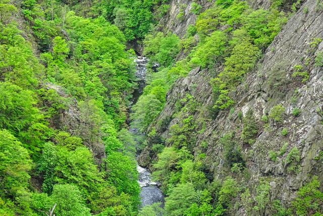 Blick von der Schurre hinunter ins Bodetal