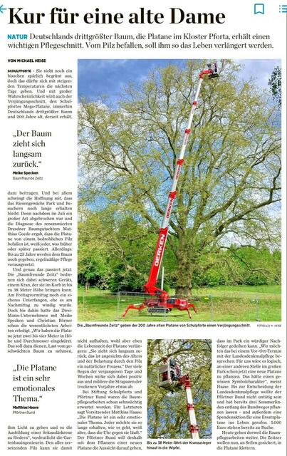 Pflegeschnitt am 25.5.2021 !