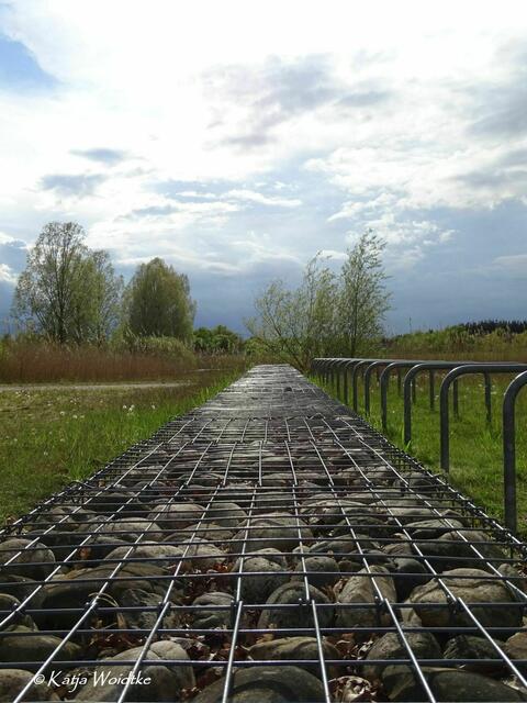 Wetterkapriolen - durch den Wietzepark im Mai: Mit Steinen gefüllte Gabionen sind ein typisches Gestaltungselement im Park (Foto: Katja Woidtke) | Foto: Katja Woidtke