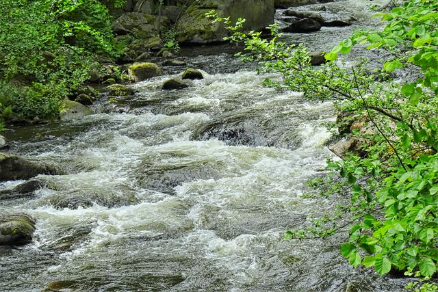 Bode an der Waldkaterbrücke