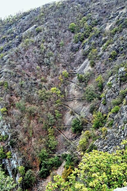 die Schurre im Jahre 2019, damals war der beliebte Wanderweg  der vom Bodetal zur Rosstrappe hinauf führt wegen Steinschlag gesperrt