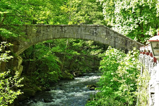 die Jungfernbrücke an der Waldgaststätte Königsruhe