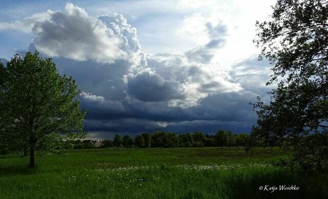 Wetterkapriolen - durch den Wietzepark im Mai (Foto: Katja Woidtke) | Foto: Katja Woidtke
