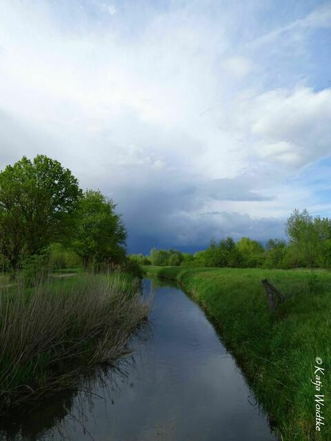 Wetterkapriolen - durch den Wietzepark im Mai: Die Wietze gab dem Park ihren Namen (Foto: Katja Woidtke) | Foto: Katja Woidtke