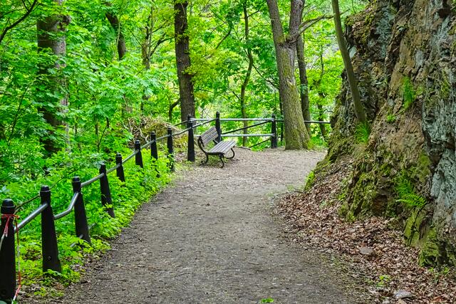 Präsidentenweg