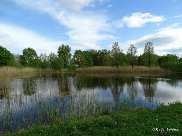 Wetterkapriolen - durch den Wietzepark im Mai (Foto: Katja Woidtke) | Foto: Katja Woidtke