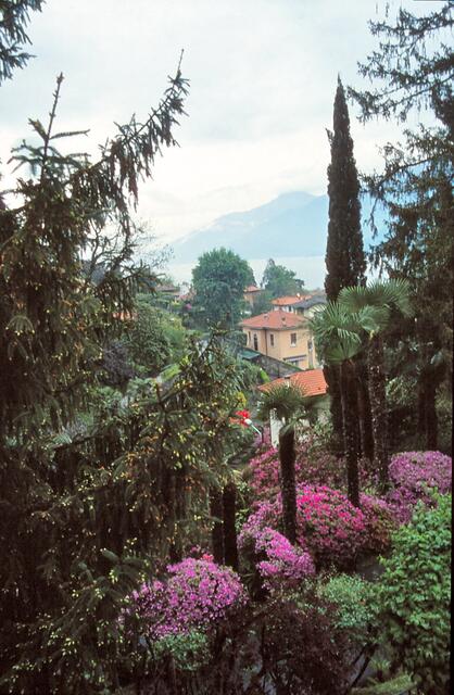 wieder zurück im Garten von Haus Collina