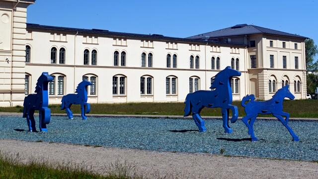 Die blauen Pferde vor dem Marstallgebäude bieten sich als Kletterobjekte an. Foto: Helmut Kuzina