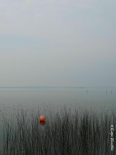Ein Tag am Steinhuder Meer - Mardorf: Nordseefeeling (Foto: Katja Woidtke) | Foto: Katja Woidtke