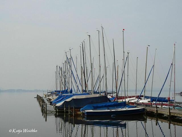 Ein Tag am Steinhuder Meer - Mardorf (Foto: Katja Woidtke) | Foto: Katja Woidtke