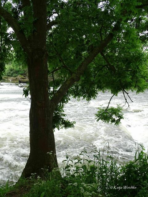 Wo das wilde Wasser rauscht - Wasserfall in Neustadt am Rübenberge (Foto: Katja Woidtke) | Foto: Katja Woidtke