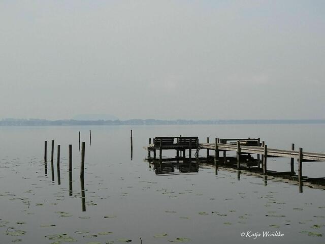 Ein Tag am Steinhuder Meer - Mardorf: Idylle am Morgen (Foto: Katja Woidtke) | Foto: Katja Woidtke