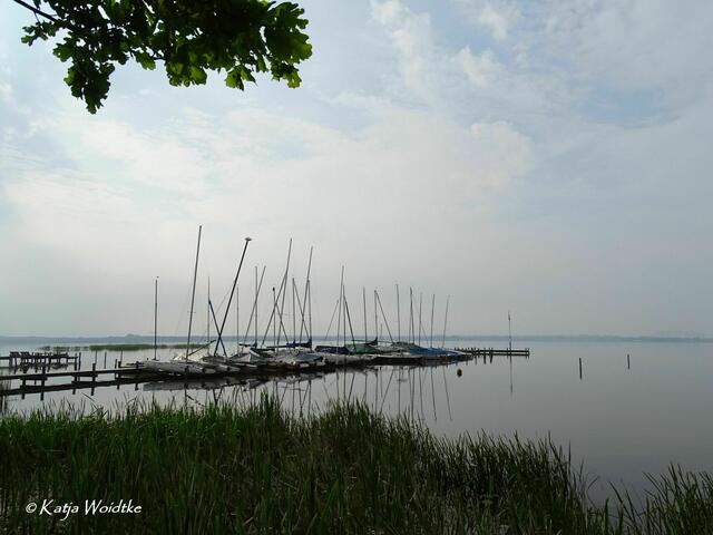 Ein Tag am Steinhuder Meer - Mardorf (Foto: Katja Woidtke) | Foto: Katja Woidtke