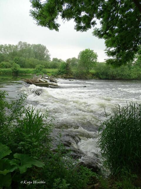 Wo das wilde Wasser rauscht - Wasserfall in Neustadt am Rübenberge (Foto: Katja Woidtke) | Foto: Katja Woidtke
