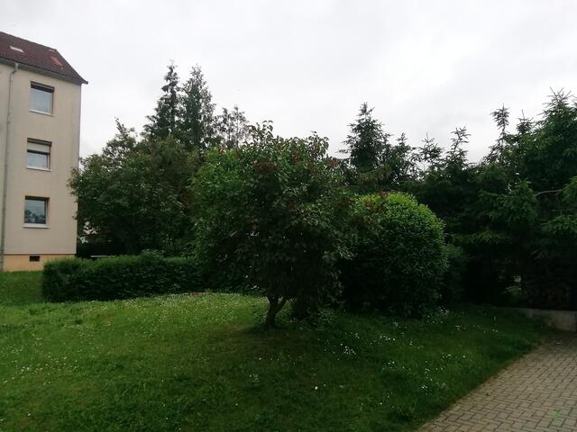 6.6.2021 !!! Sonntagsbilder 2021 !!!  Die Temp­eraturen in Nebra steigen heute maximal auf 22 Grad Celsius. In der Nacht wird mit 16°C die Tiefst­temperatur erreicht.
