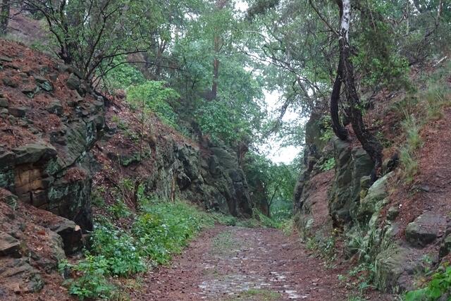 dieser Hohlweg führt von der Kirschwiese nach Langenstein