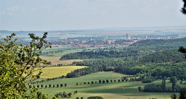 Blick vom Hoppelberg auf Halberstadt (Archivbild)