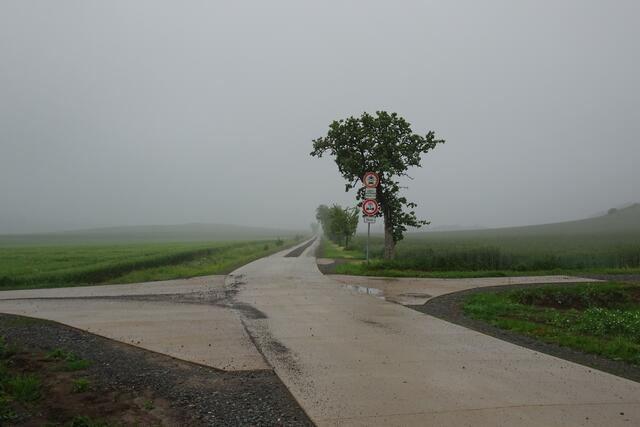 hier begann die Hoppelbergwanderung bei Nebel