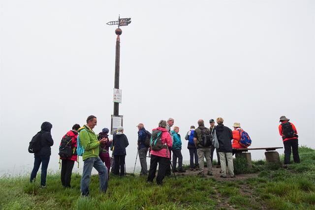 Wetterfahne auf der Altenburgbei Nebel