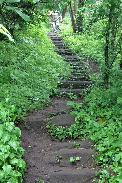 da der eigentliche Weg von Langenstein zur Höhlenwohnung gesperrt, muss man  derzeit diesen Treppenpfad nehmen