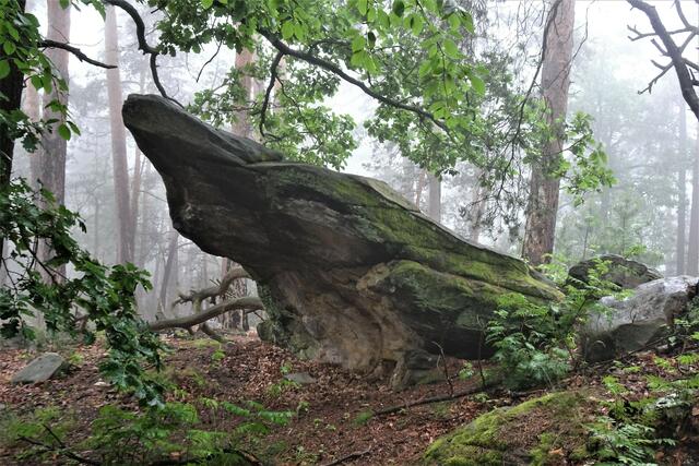 Froschstein im Nebel