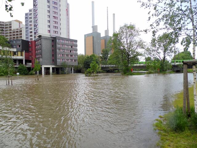 Bei einem Leinehochwasser, wie hier 2013, kann dieses tiefer gelegte Gebiet viel Wasser aufnehmen.