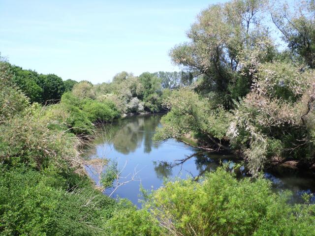 Sie strömt auf Marienwerder zu, womit sie das Gebiet von Hannover verlässt. Eindrucksvolle Naturlandschaften und Grüngebiete inmitten der Stadt hat sie uns auf diesem Streckenabschnitt geboten.