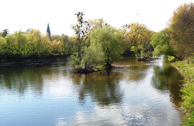Der Blick vom Wehr leineabwärts auf die kleinen Inseln und den Turm der Nikolai-Kirche.