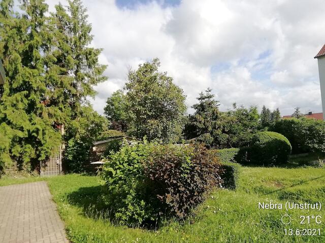 Temperaturen: Nachts 11,3° / 10:12h / 16,8°   13.6.2021 !!! Sonntagsbilder 2021 !!!