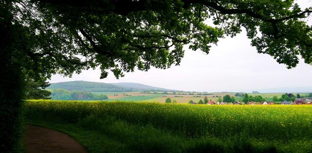 Wenn man aus der Allee heraustritt, bekommt man einen schönen Blick in die Landschaft und auf den Deister geboten.
