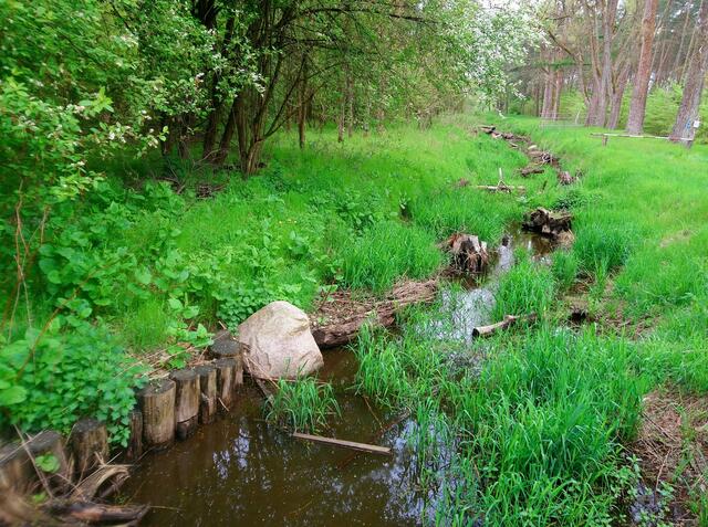 Hier befinden wir uns auf dem Wasserlebnispfad in Fuhrberg und schauen auf die Wulbeck.