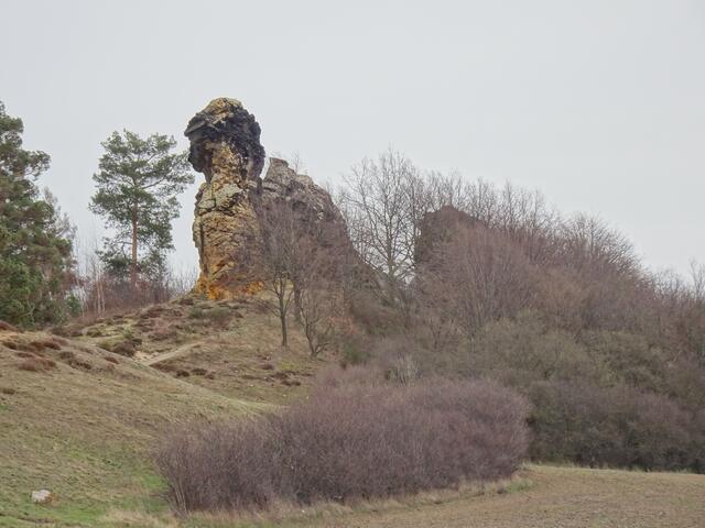 Das Kamel bei Westerhausen. Dieser Sandsteinfelsen gehört nicht zu der in der Nähe verlaufenden Teufelsmauer. (Archivbild)