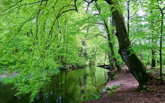 Wasserlandschaft an der Lachte