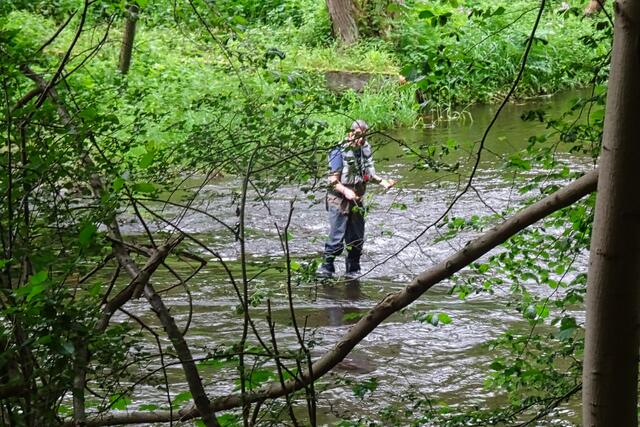 Fliegenfischer in der Bode