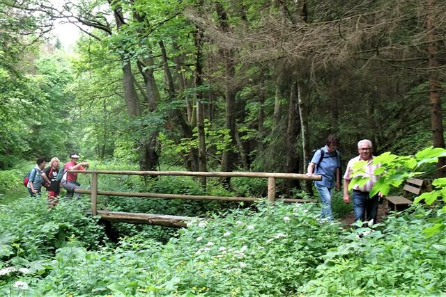 eine der sieben Brücken am Sieben - Wasser - Weg (Tiefenbachtal)