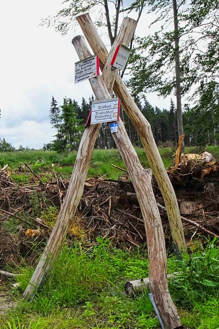 als Ersatz für einen gefällten Wegweiserbaum ein orgineller Wegebaum