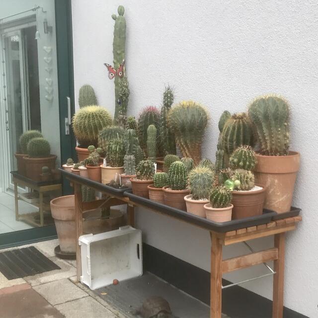 Hier stehen die meisten Schwergewichte.
