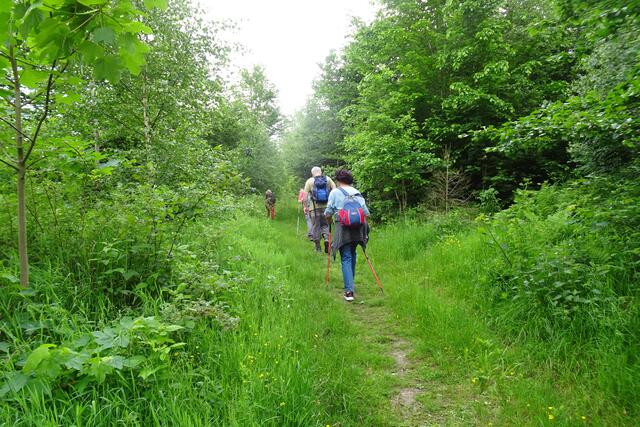 hier geht es hinauf vom Bodetal zum Hagedornweg