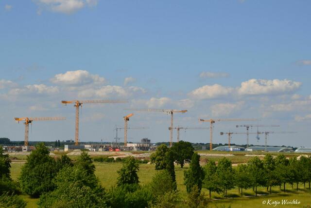 Naturtouren rund um Hannover - Mohnblüte am Kronsberg: Kranballett zu Füßen des Aussichtshügels. Hier entsteht das Wohngebiet Kronsrode. (Foto: Katja Woidtke) | Foto: Katja Woidtke