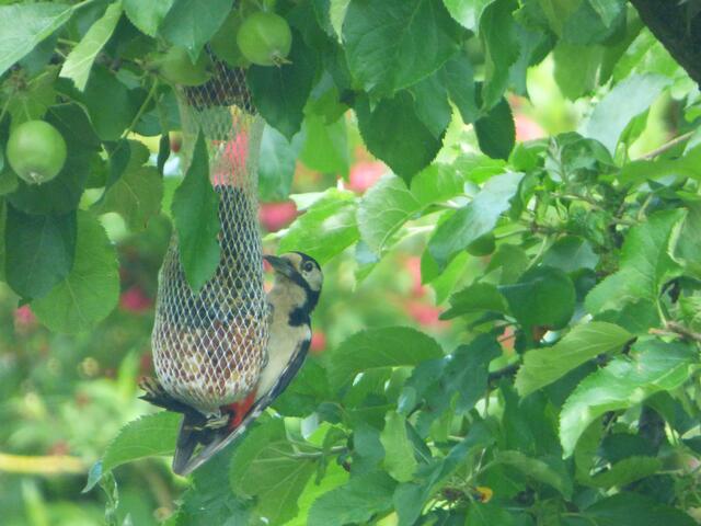 Oh man, diese Kind treibt mich noch in  den Wahnsinn!