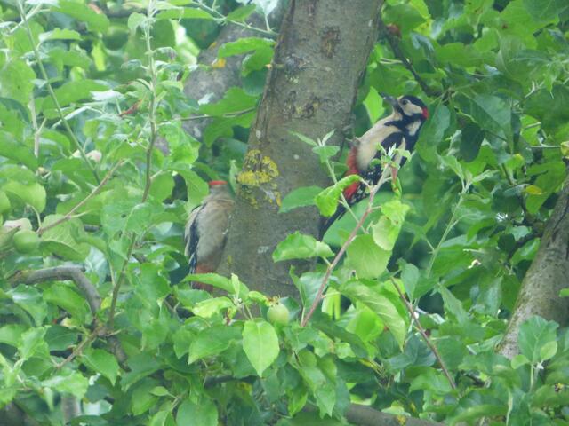 Mami, renn doch nicht immer weg!