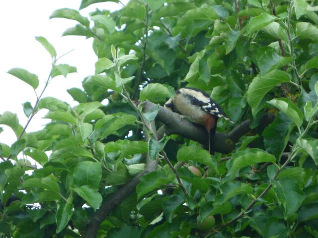 Mami, wo bleibst Du denn?