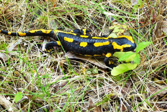 Dann schnell die Aufnahmeposition wechseln, dachte ich mir.