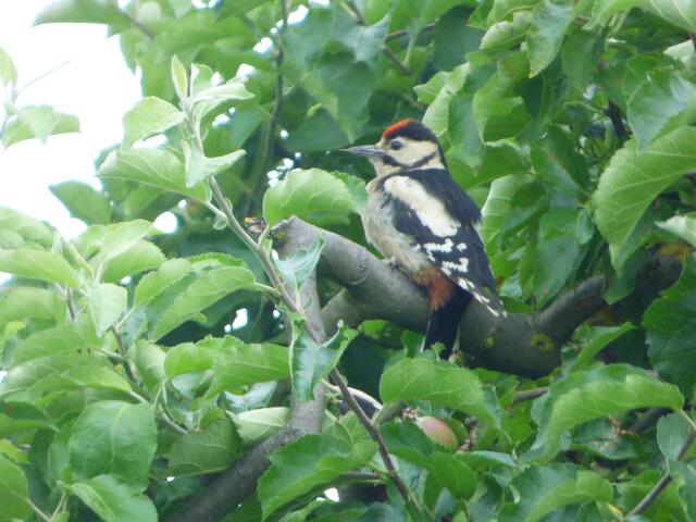 Echt, Mama? Das war alles????