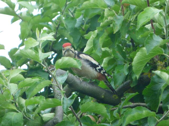 Und Du kannst auch bloß doofe Fotos machen!