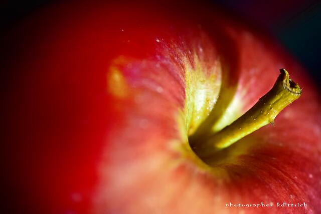 Macro